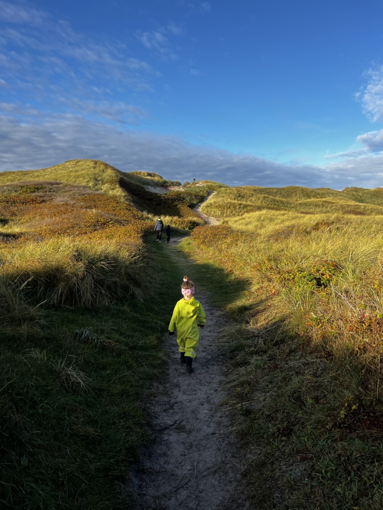 28.10.2024 - Přijeli jsme do kempu na Hvide Sande a šli ozkoušet pláž