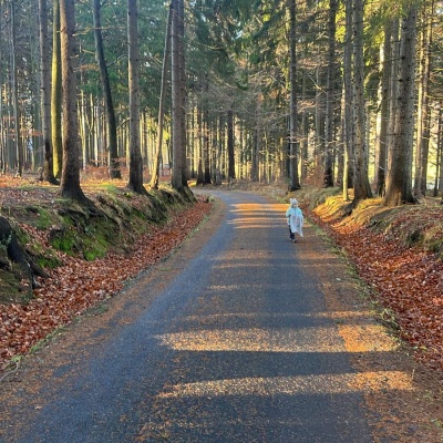 Jizerskohorské bučiny